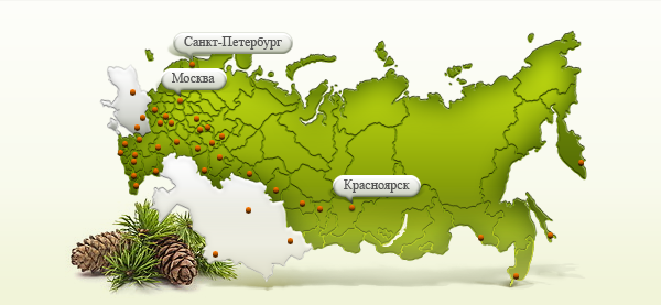 Карта поставок сибирского кедра по России
