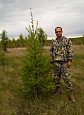 Саженцы, лиственница сибирская (Larix sibirica), 230-270 см. купить в Красноярске