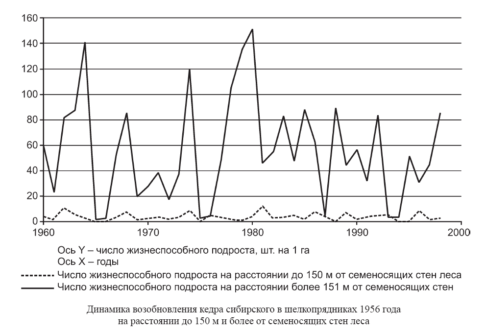 Динамика возобновления кедра сибирского в шелкопрядниках 1956 годана расстоянии до 150 м и более от семеносящих стен леса пак2.png
